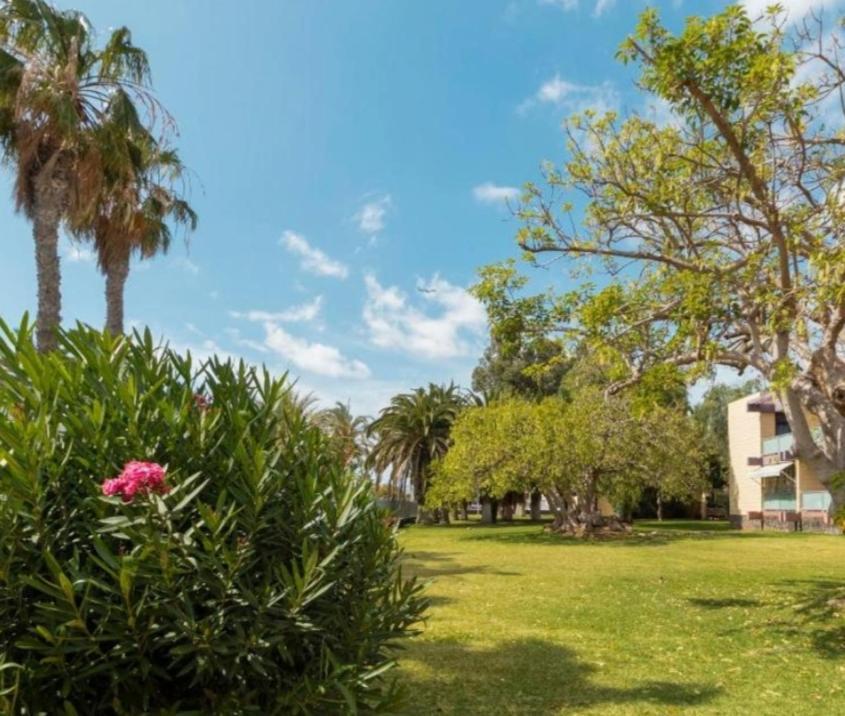 Apartamento Galeria De Arte. Arona  Exterior foto